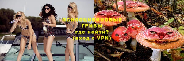 spice Алексин