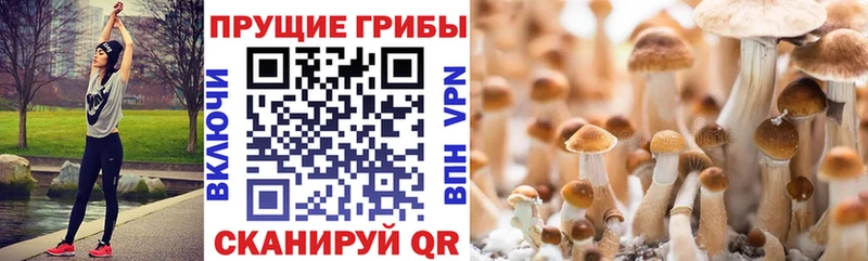 Галлюциногенные грибы ЛСД  где купить наркотик  Богучар 